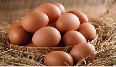 Huevos Existenciales